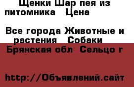 Щенки Шар пея из питомника › Цена ­ 25 000 - Все города Животные и растения » Собаки   . Брянская обл.,Сельцо г.